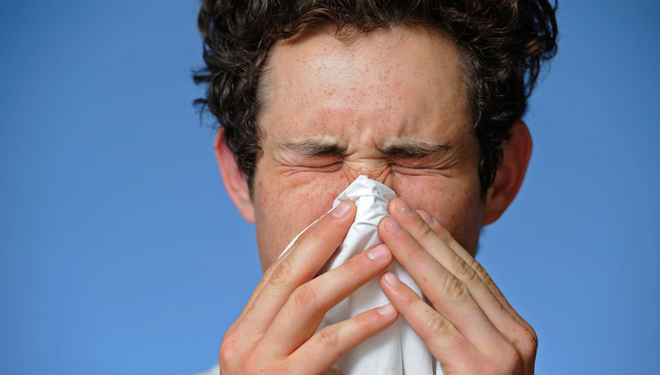 Washington DC Nose Doctor